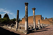 Villa Adriana - Edificio con criptoportico e peschiera